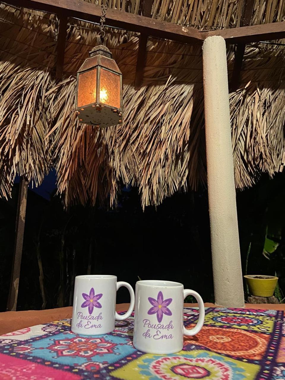 Pousada Canela De Ema Mateiros Bagian luar foto